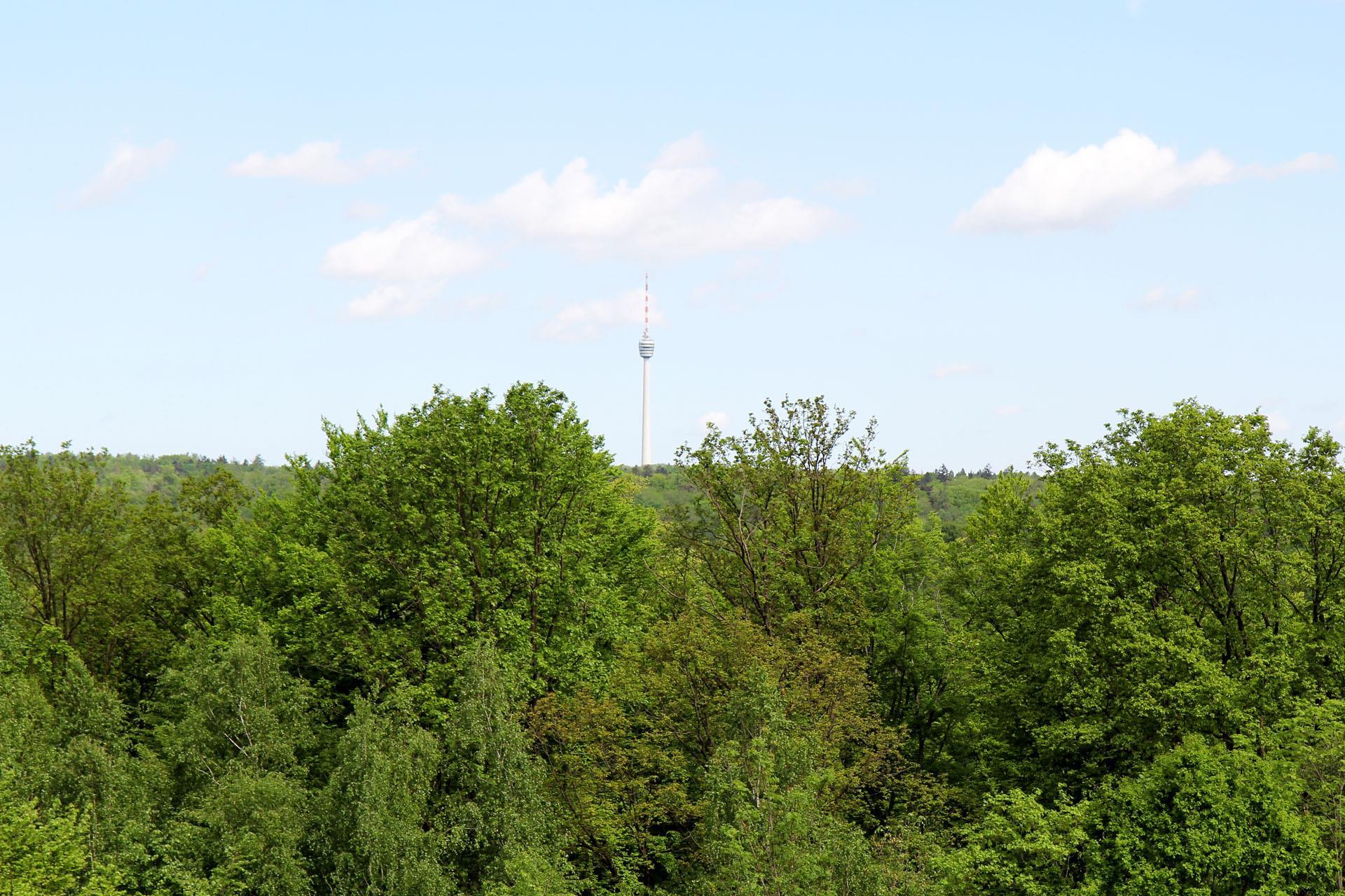 Ausblick Fernsehturm