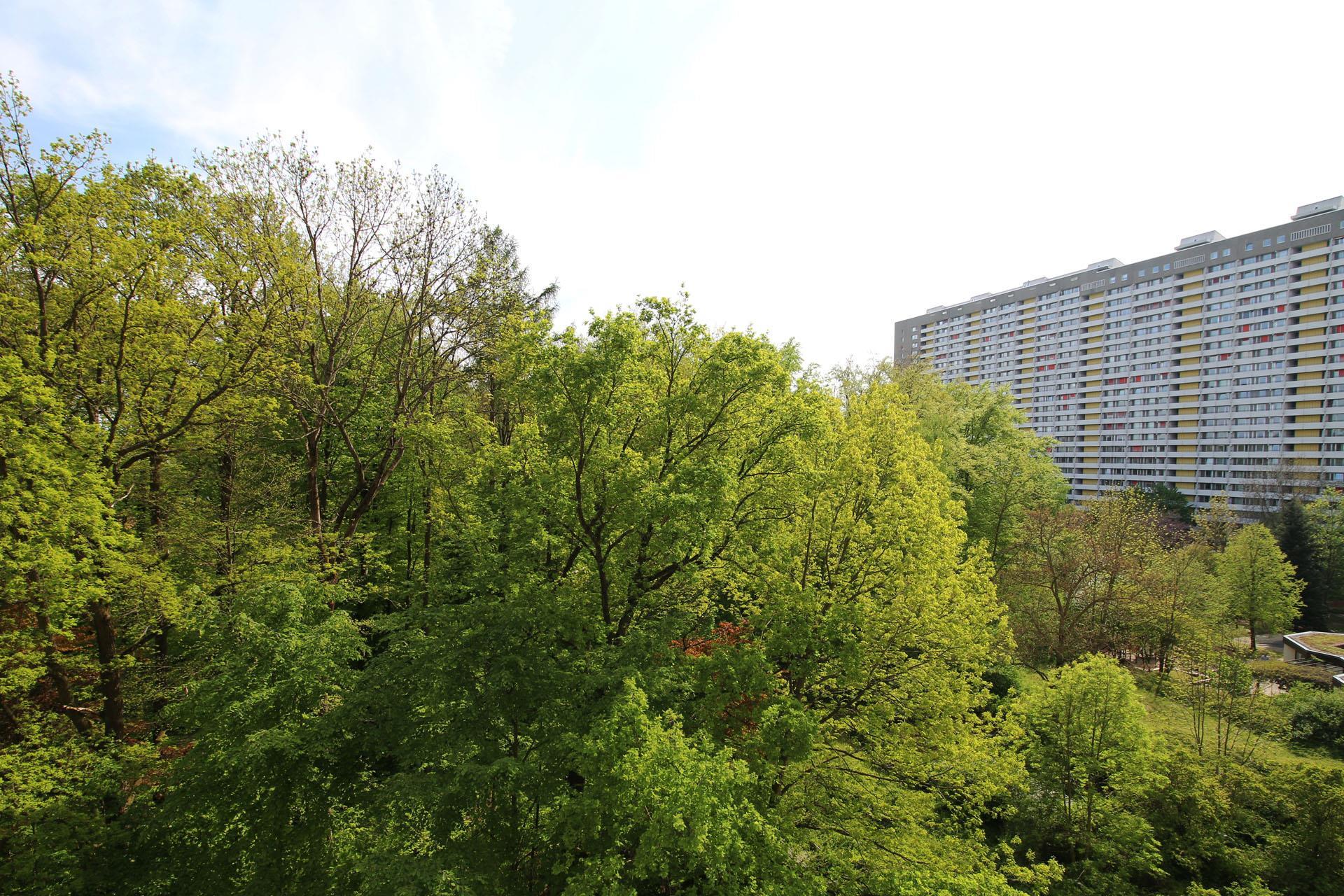 Ausblick Süd-Balkon